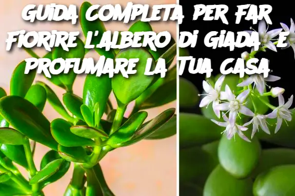 Cropped Image (14)