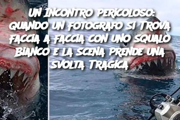 Cropped Image (53)