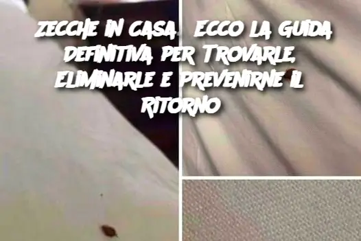 Cropped Image (57) (1)
