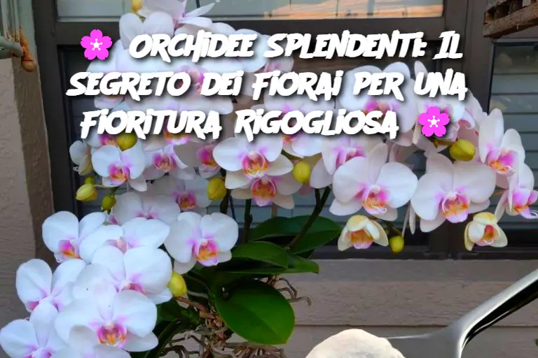 Cropped Image (59) (1)